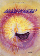 Carica immagine di copertina locale