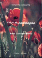 Carica immagine di copertina locale