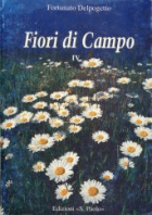 Carica immagine di copertina locale