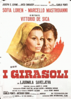 Carica immagine di copertina locale
